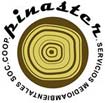 pinaster